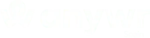 Anywr Spain logo