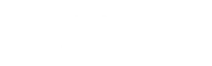 Navicon logo